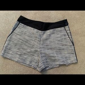 NEW WITH TAGS !Loft dressy shorts